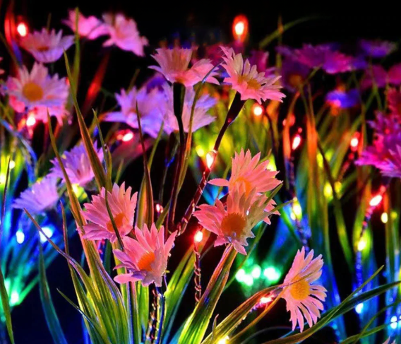 Solar Bloom Garden Lights